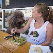 Clare Bradley enjoys lunch outside the Food Court on The Hill with her standard poodle