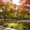 A fall scenic image of the CU Boulder campus.