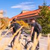 Students walking on a path in fall.