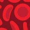 red blood cells