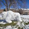 Snow buffalo sculpture on campus