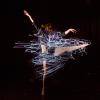 Student performs a modern dance while wearing led-lighted outfits that she designed and constructed herself.