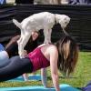 Person in yoga pose with baby goat on her back