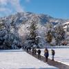 Students walking on a snowy campus