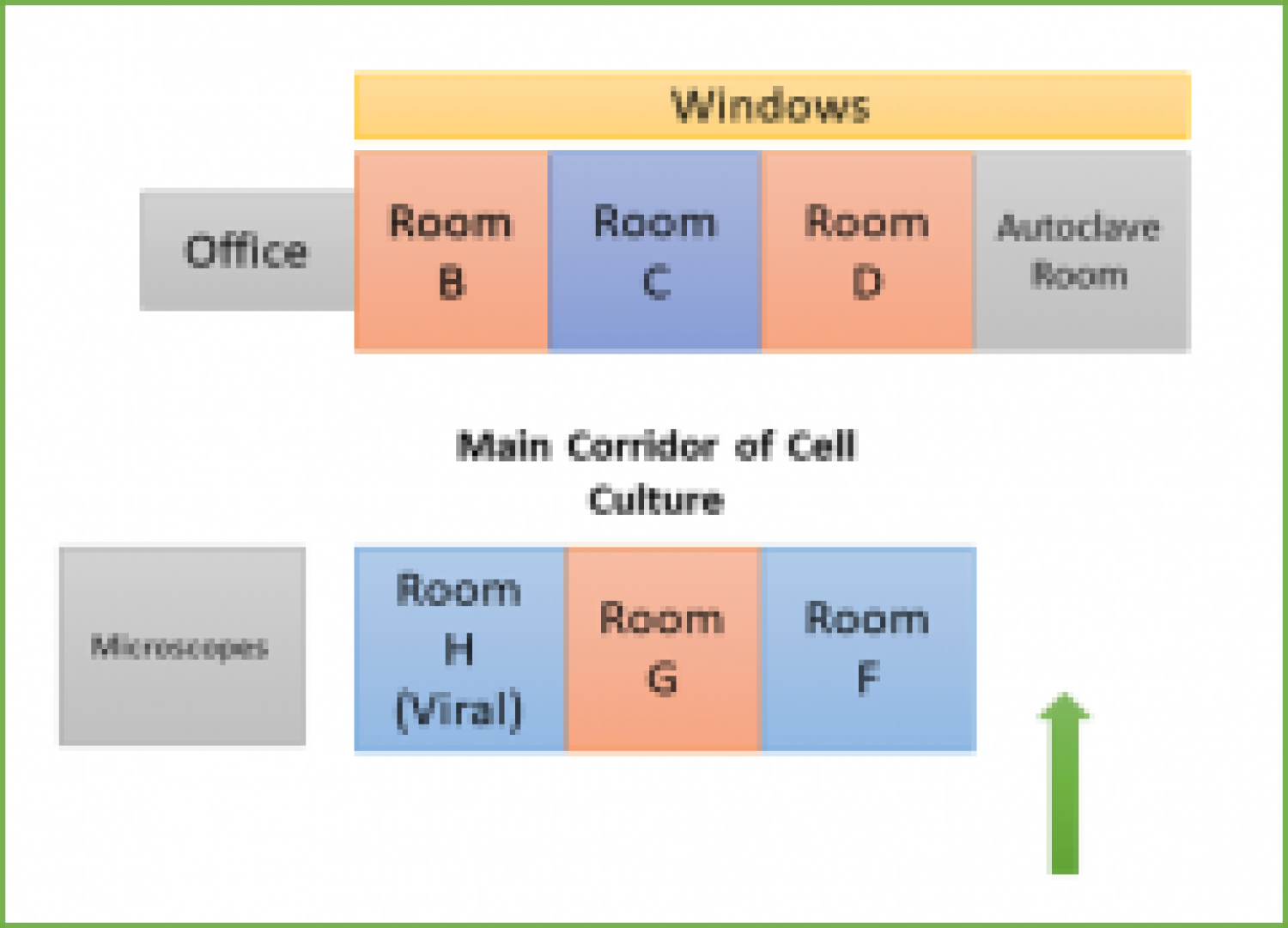 Blueprint of Cell Culture Layout