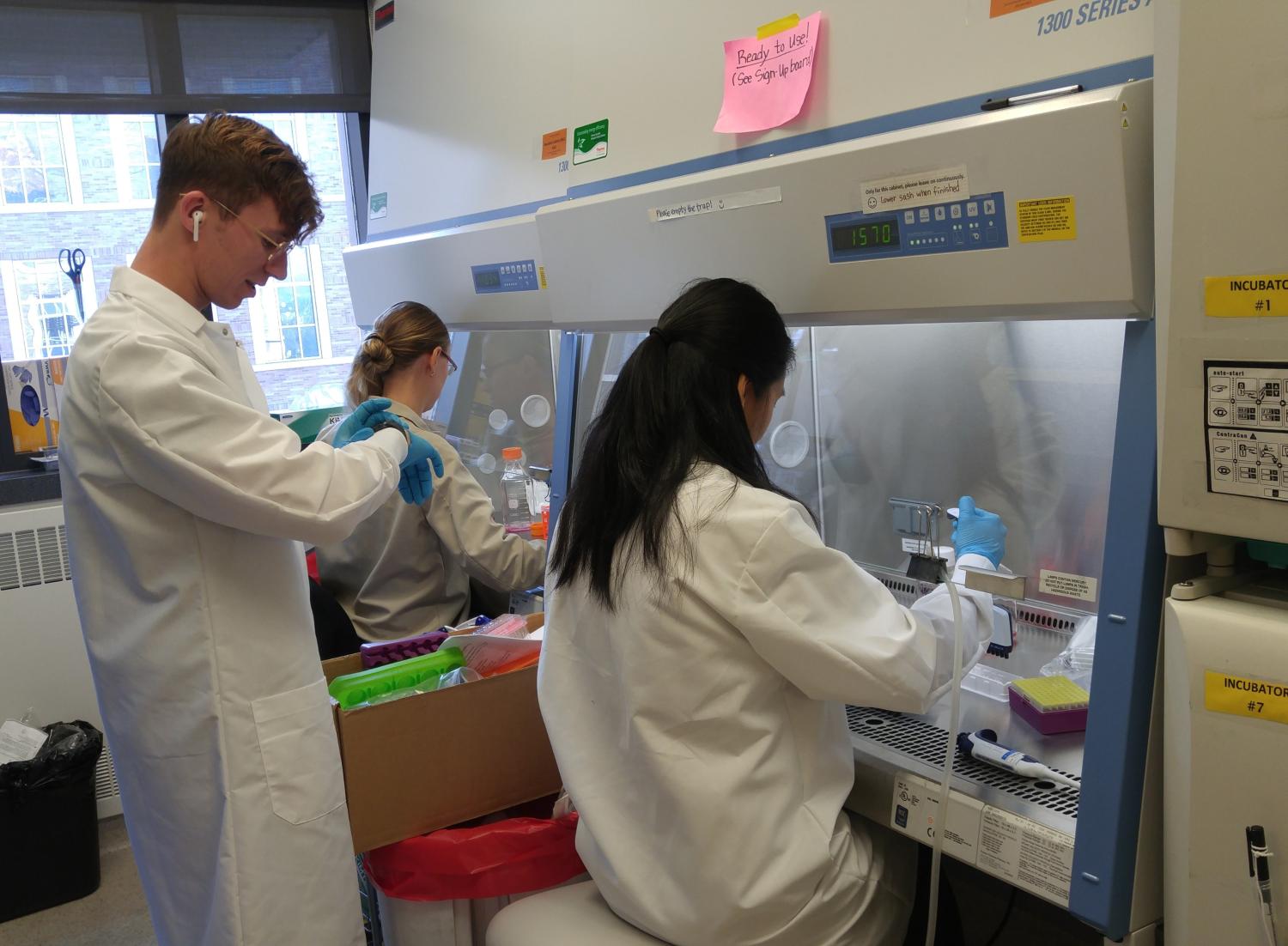 Researchers working at Biosafety Cabinets.