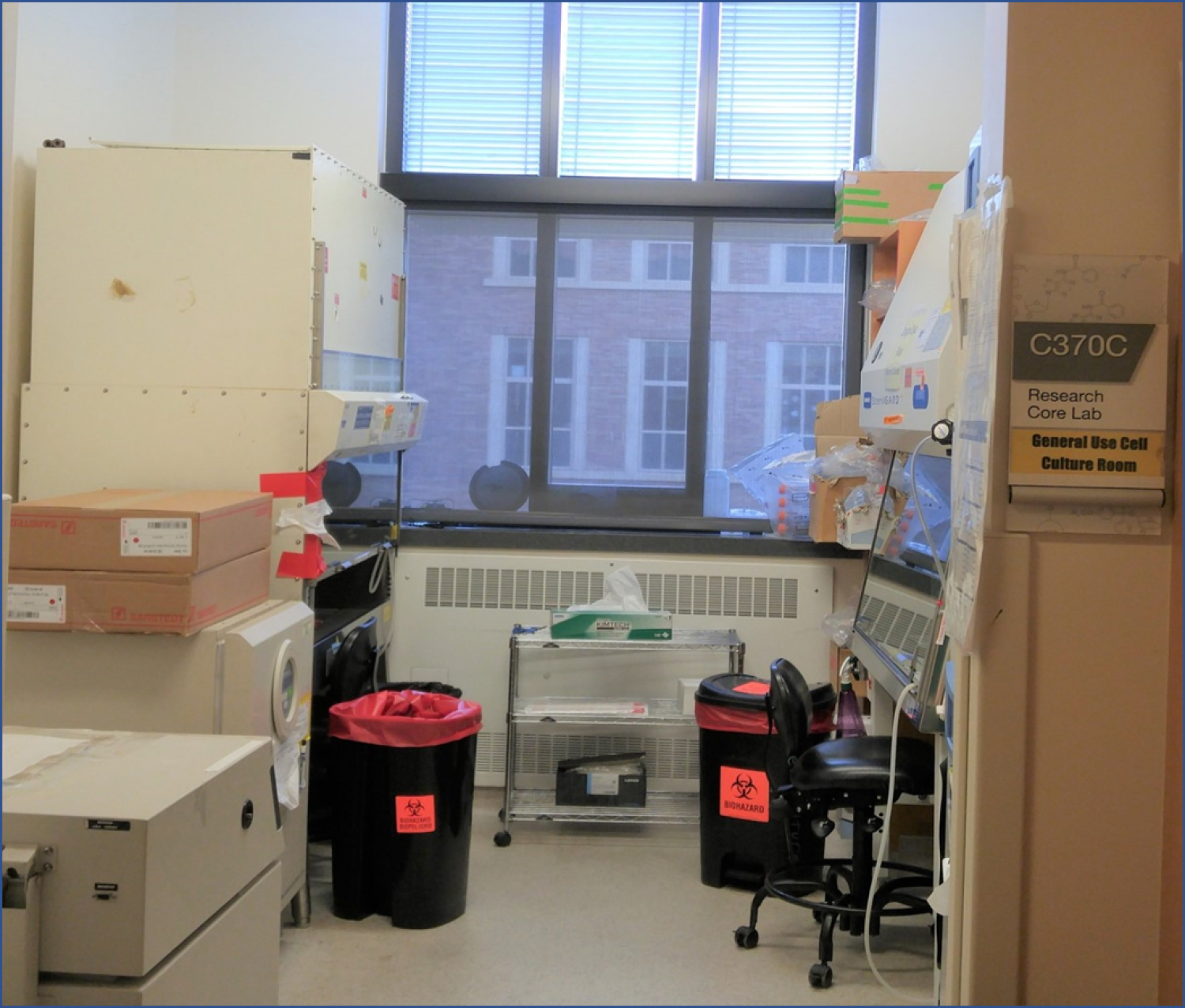 Room C in Cell Culture