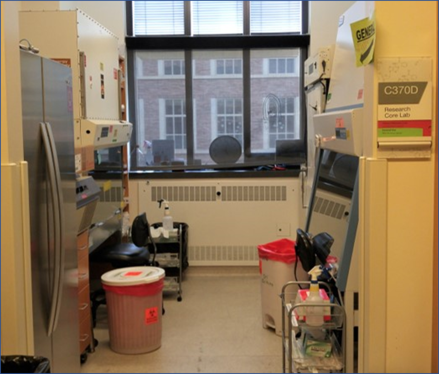 Room D in Cell Culture