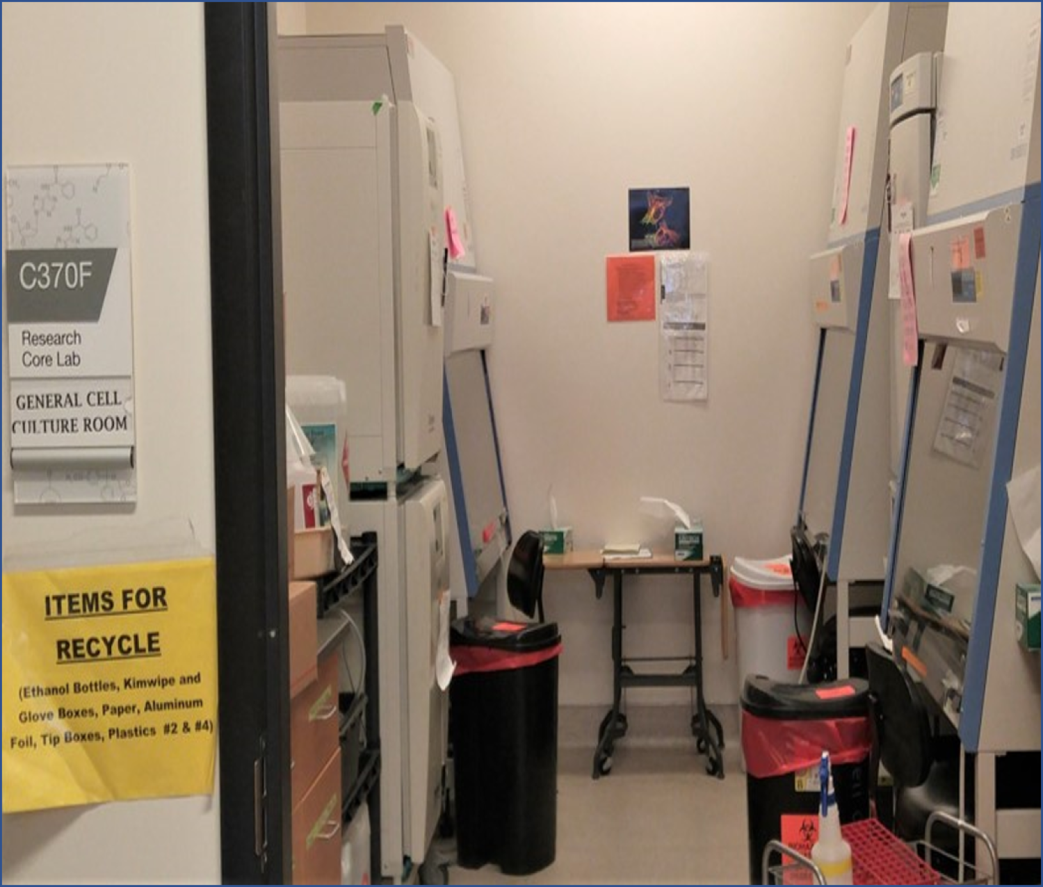 Room F in Cell Culture