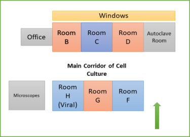 Blueprint of Cell Culture Room Layout