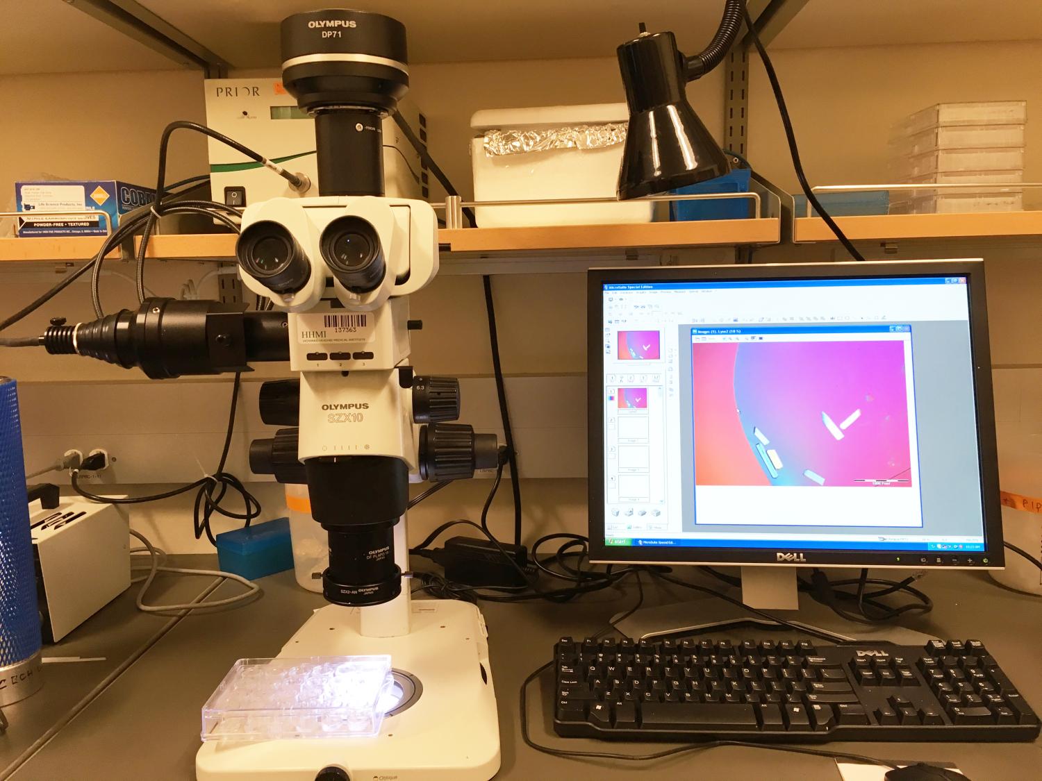 Olympus XZ10 Microscope
