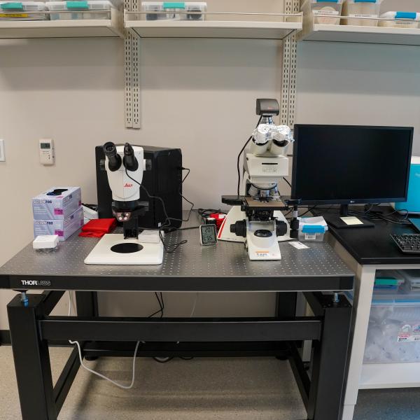 9:1 zoom with magnification 6.1x-55x, 10x, field of view of up to 37.6 mm