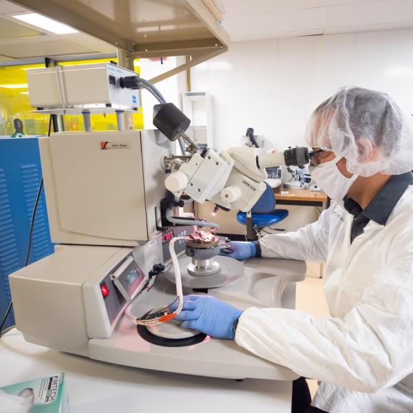 A person looking into a very large microscope