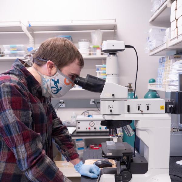 A person looking into am instrument that looks like a large microscope
