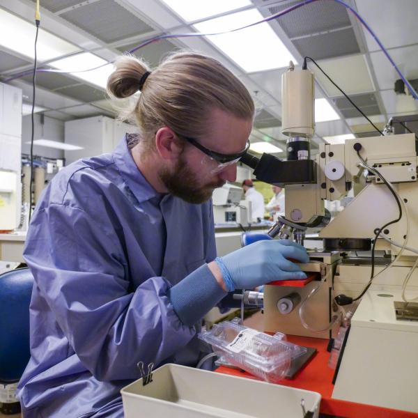 A student looks through a microscope
