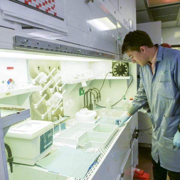 One person interacts with the chemical lab area.