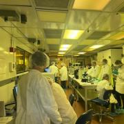 Gowned-up participants in the cleanroom 