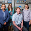 From left to right, Aju Jugessur, Juliet Gopinath, Scott Diddams and Cindy Regal, who will lead the realization of a new facility at CU Boulder for making incredibly small devices. (Credit: Patrick Campbell/CU Boulder)