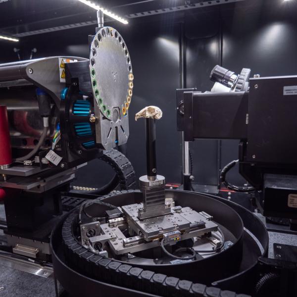 Inside the xradia x-ray
