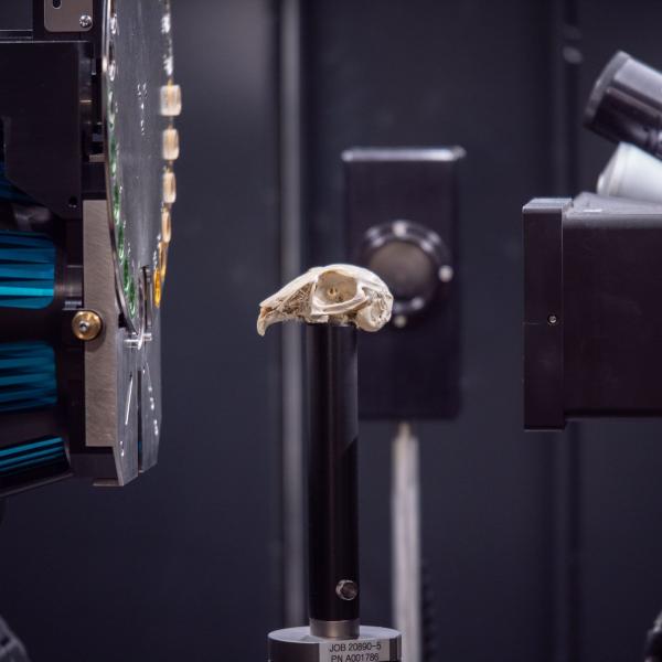 Inside the Zeiss Xradia