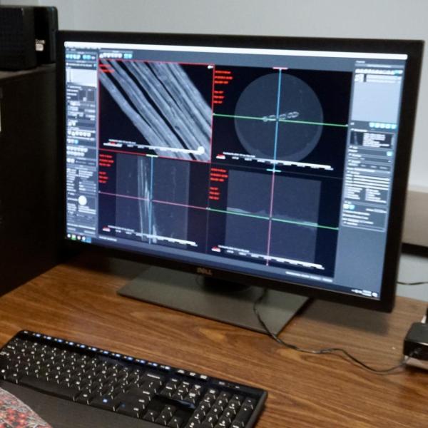 Adrian Gestos views X-ray of fish fins with the Dragonfly