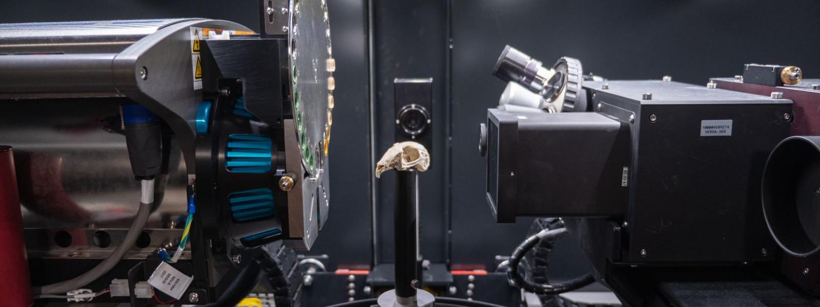X-ray microscope