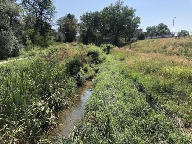 Harvard Gulch (urban watershed)