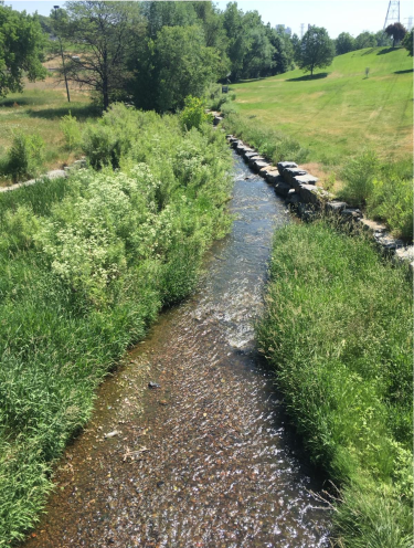 Flowing Lakewood Gulch in Denver