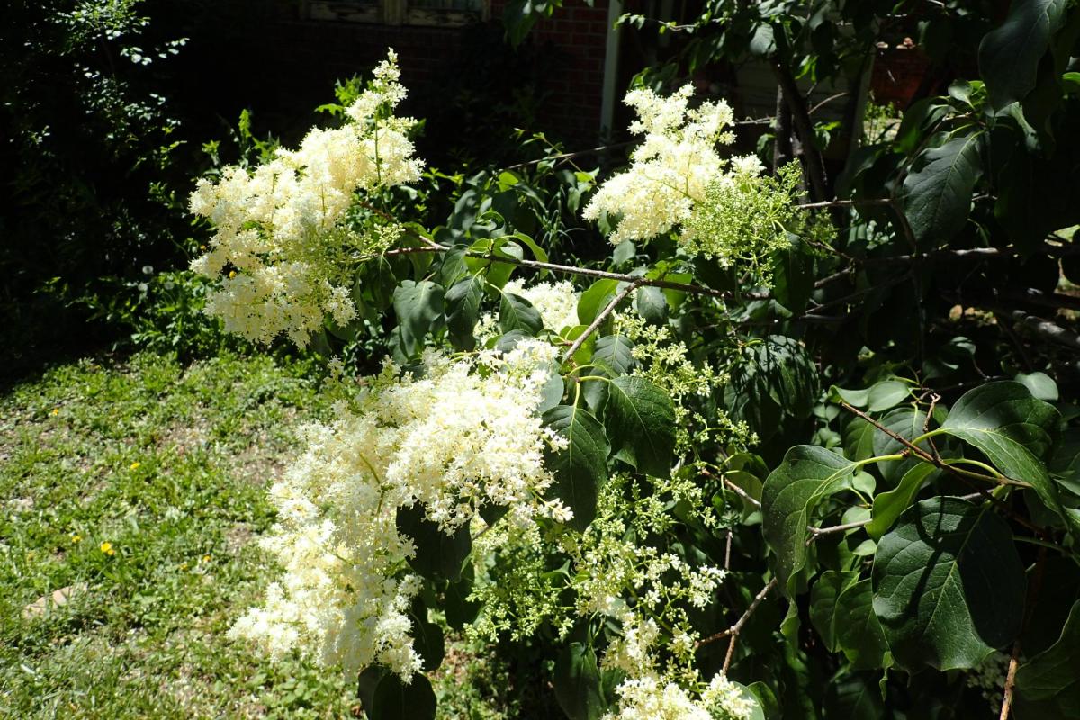 test 2