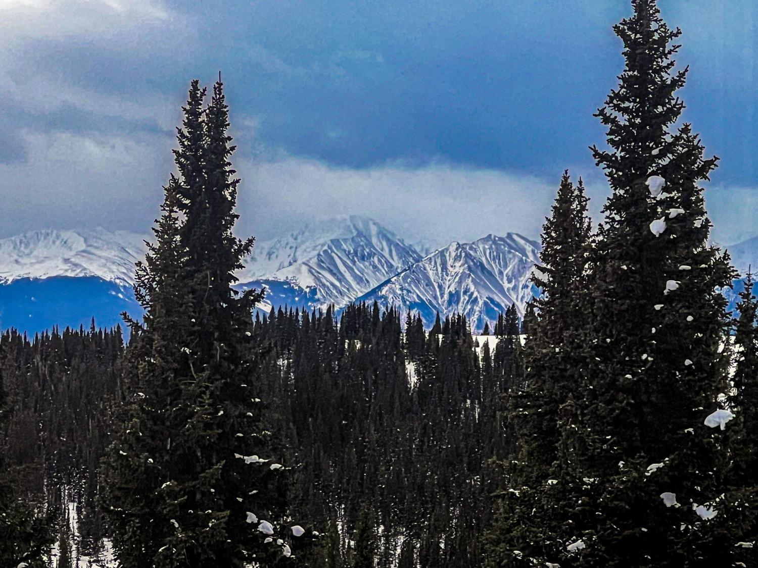 View from the hut