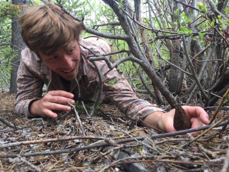 Harry mushroom hunting