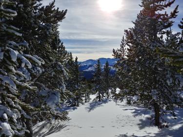 Uncle Bud's Cabin 2019