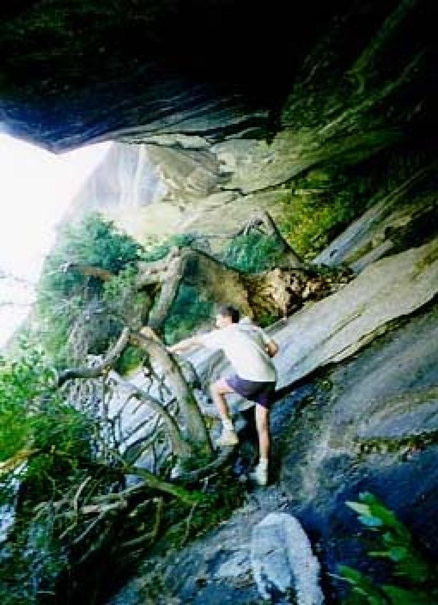 Roger exploring a fern-filled cave in Yosemite