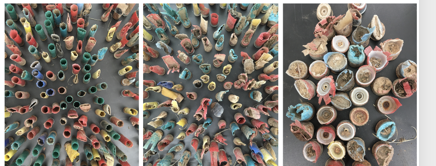 Shotgun shells collected from the Colorado River.