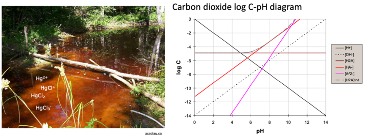 Picture of a creek and Carbon dioxide pH and log C chart