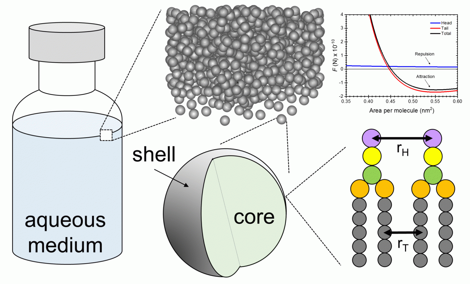 intermolecular forces