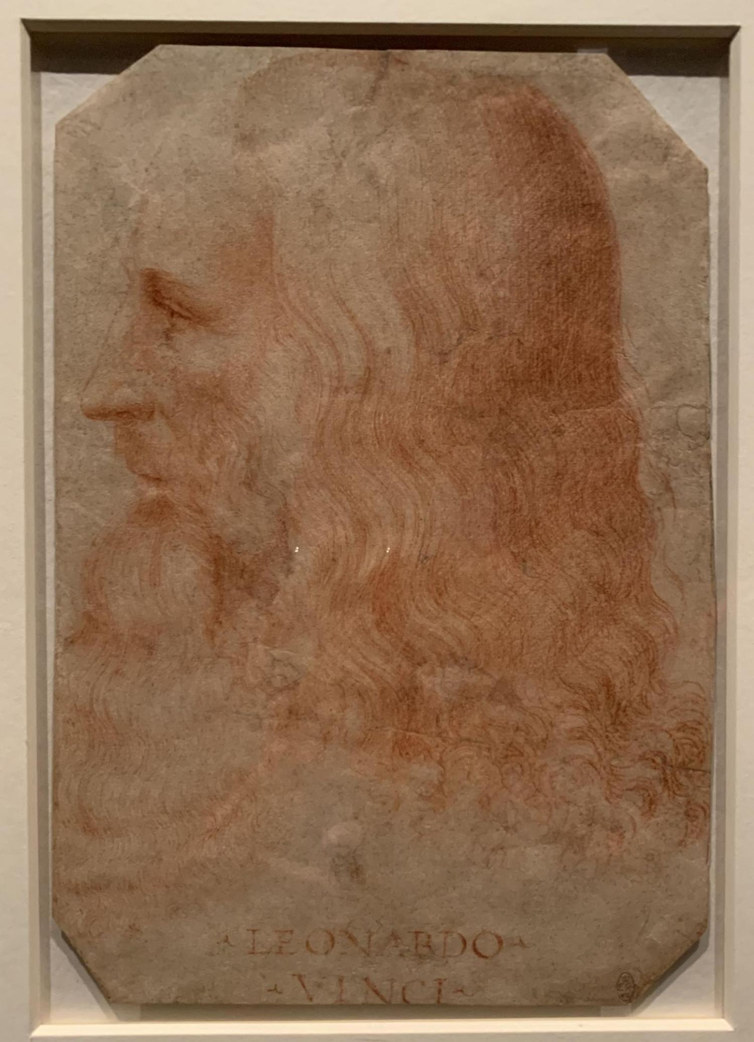 leonardo