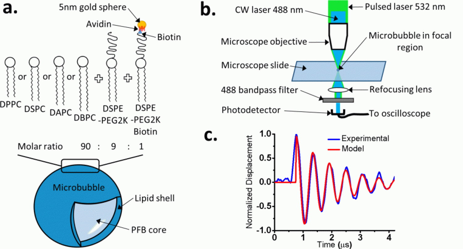 graphics relating lipid intermolecular forces to microbubble resonance and damping