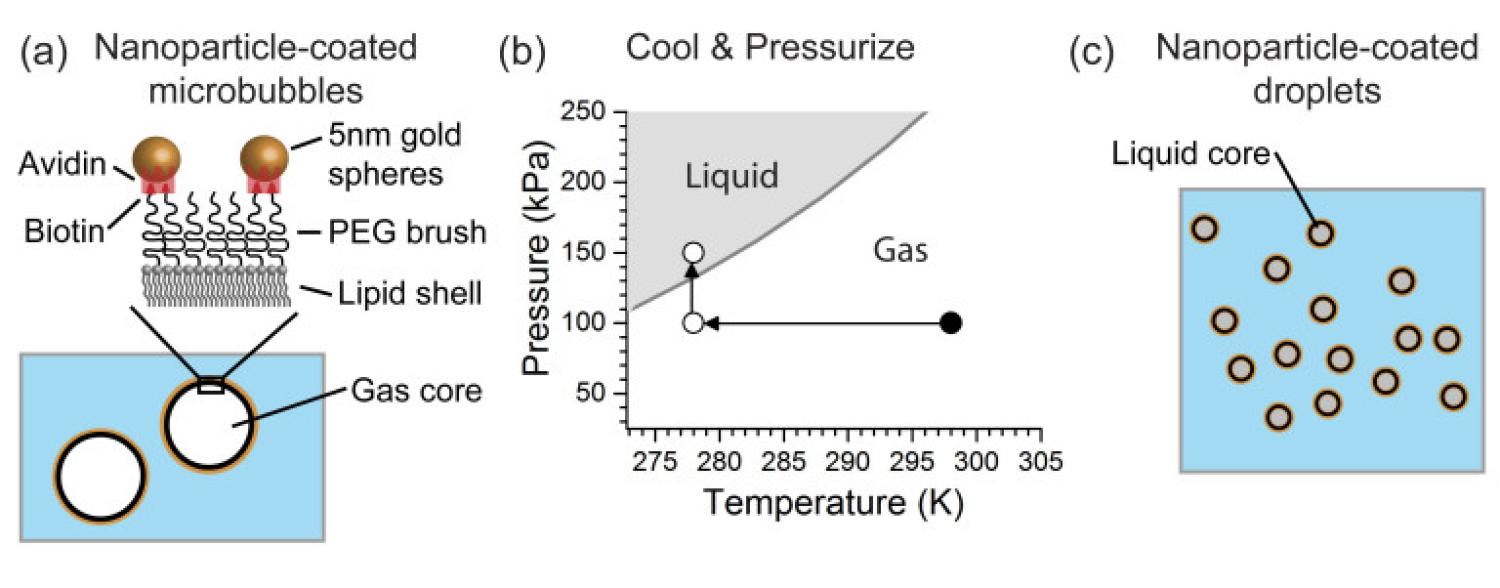 a gold nanoparticle coated nanodrop, which has a core that turns liquid as the temperature decreases and the pressure increases from 100 to 150 kilopascals