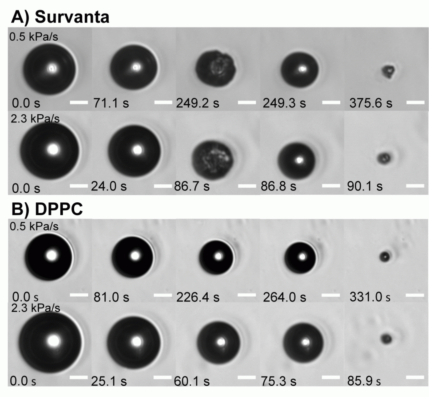 survanta surfactant turns to a nanodrop shape after 375.6 seconds at 0.5 kilopascals. At 2.3 kilopascals, it takes 90.1 seconds to turn into a nanobubble. For a DPPC at 0.5 kilopascals, it takes 331 seconds to turn into a nanobubble. At 2.3 kilopascals, it takes a DPPC surfactant 85.9 seconds.