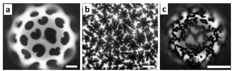 close up images of microbubble shells