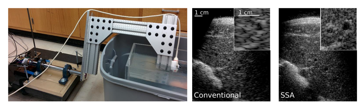 Constrained SSA in vivo results