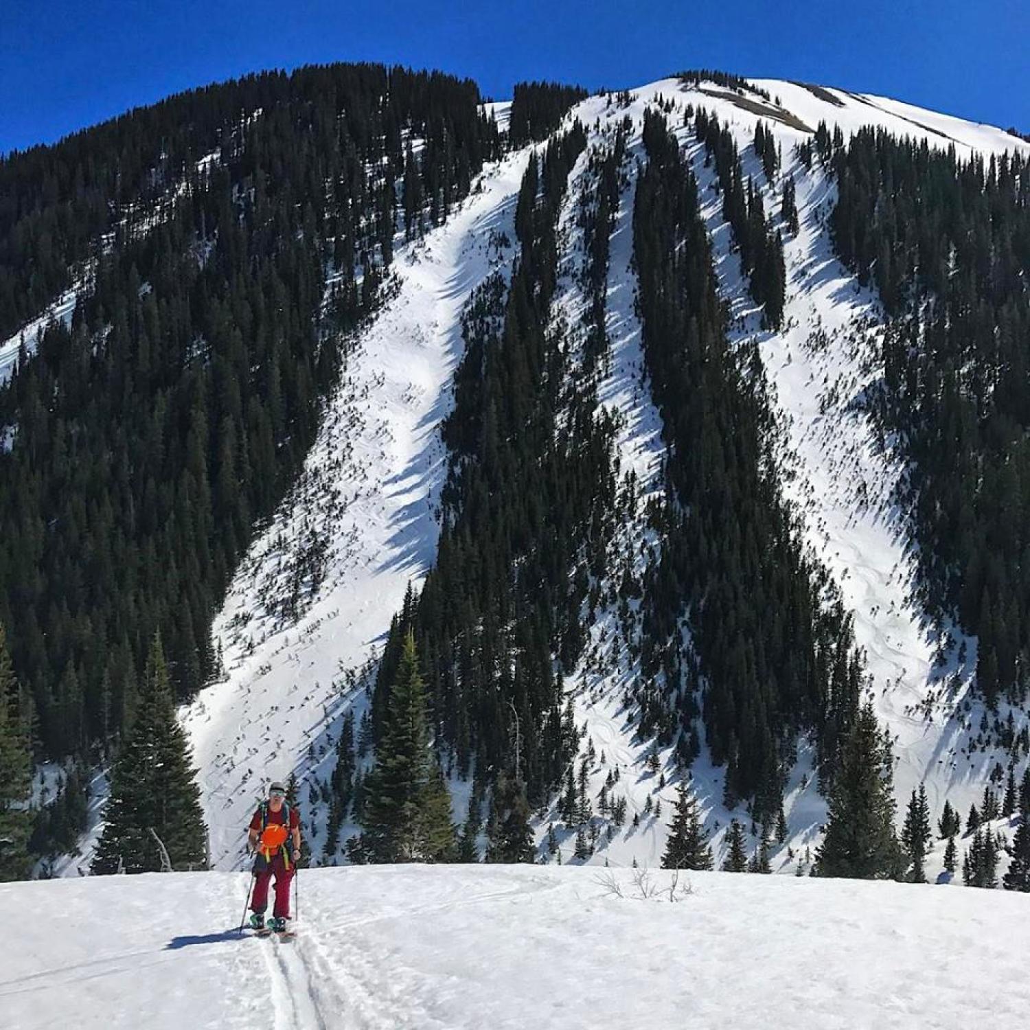 skiing