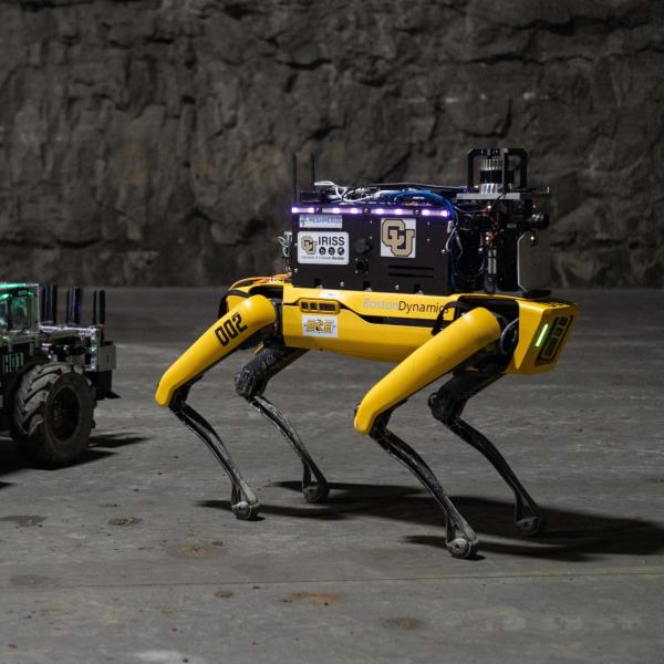 MARBLE robots