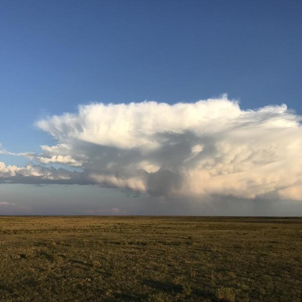 Storm 7