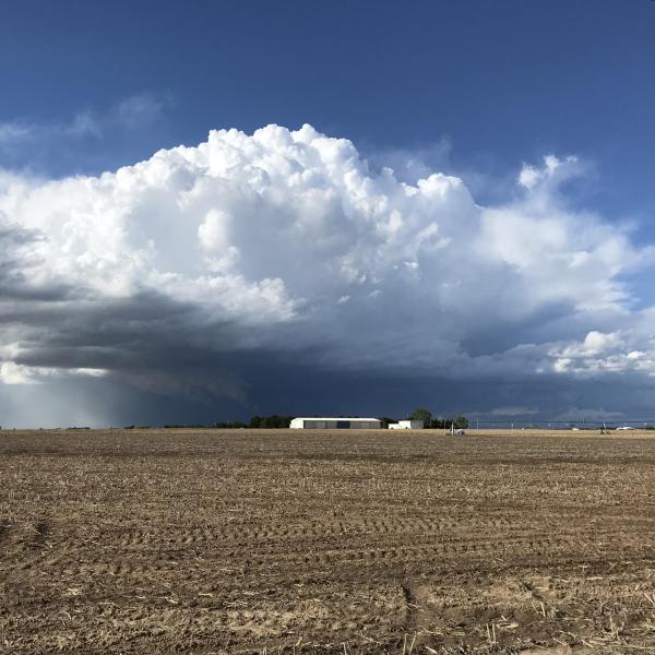 Storm