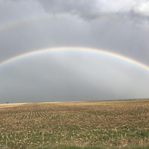 Storm with rainbow