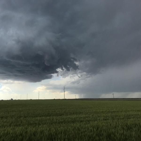 Storm