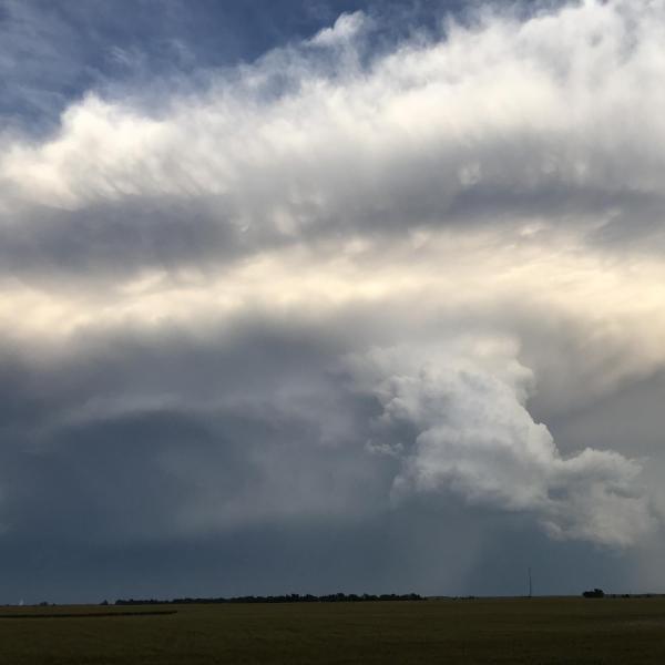 Storm