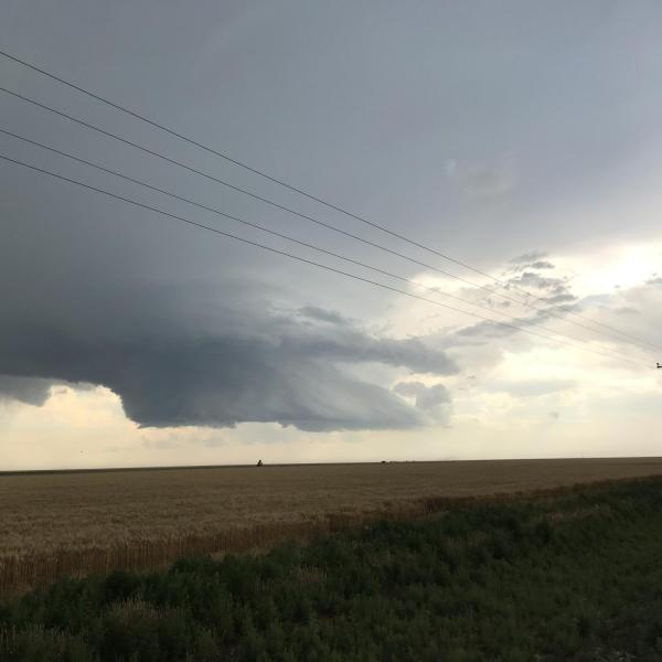 Storm